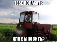 тебе вспахать или выкосить?