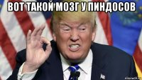 вот такой мозг у пиндосов 