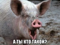  а ты кто такой?