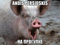 andis persidskis на прогулке