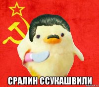  сралин ссукашвили