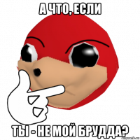 а что, если ты - не мой брудда?