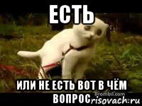 есть или не есть вот в чём вопрос