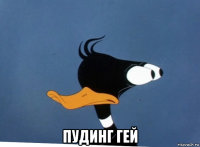  пудинг гей