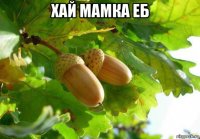 хай мамка еб 