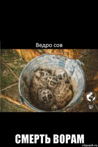  смерть ворам