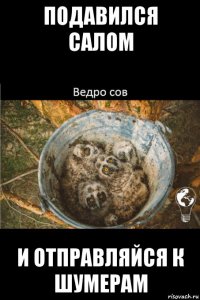 подавился салом и отправляйся к шумерам