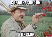 соболь! соболь! я писец?