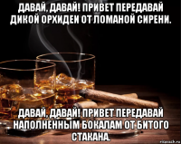 давай, давай! привет передавай дикой орхидеи от ломаной сирени. давай, давай! привет передавай наполненным бокалам от битого стакана.