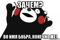 зачем? во имя бобра, конечно же!