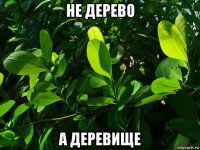 не дерево а деревище