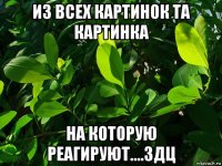 из всех картинок та картинка на которую реагируют....здц