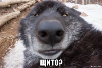  щито?