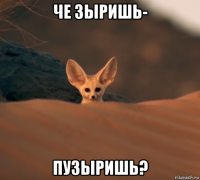 че зыришь- пузыришь?