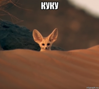 куку 