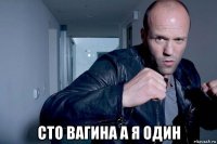 сто вагина а я один