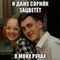 и даже сорняк зацветёт в моих руках
