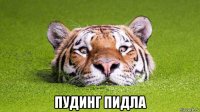  пудинг пидла
