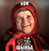 қой шынба