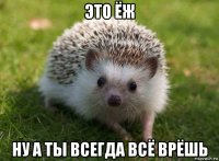 это ёж ну а ты всегда всё врёшь