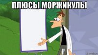 плюсы моржикулы 