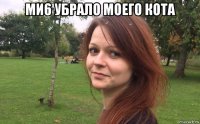 ми6 убрало моего кота 