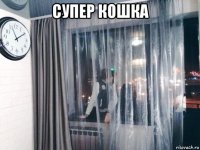 супер кошка 
