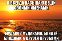 я всегда называю вещи своими именами мудаков мудаками, блядей блядями, а друзей друзьями