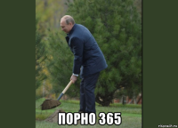  порно 365