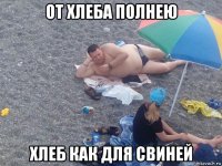 от хлеба полнею хлеб как для свиней