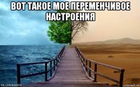 вот такое мое переменчивое настроения 