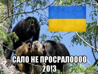 сало не просралоооо 20!3