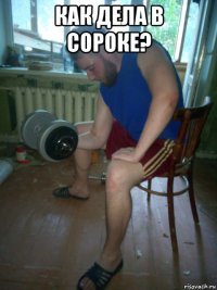 как дела в сороке? 