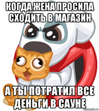 когда жена просила сходить в магазин а ты потратил все деньги в сауне