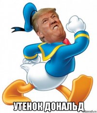  утенок дональд
