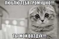 люблю тебя громушко!!! ты мой воздух!!!