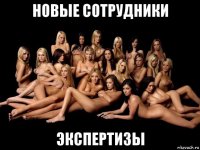 новые сотрудники экспертизы