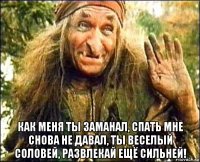  как меня ты заманал, спать мне снова не давал, ты веселый соловей, развлекай ещё сильней!