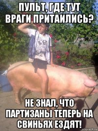 пульт, где тут враги притаились? не знал, что партизаны теперь на свиньях ездят!