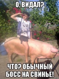 о, видал? что? обычный босс на свинье!
