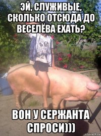 эй, служивые, сколько отсюда до веселёва ехать? вон у сержанта спроси)))