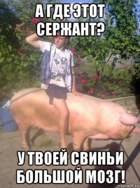 а где этот сержант? у твоей свиньи большой мозг!