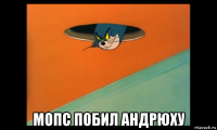  мопс побил андрюху