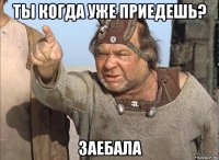 ты когда уже приедешь? заебала