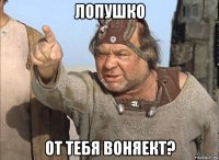 лопушко от тебя воняект?