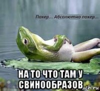  на то что там у свинообразов