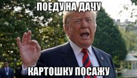 поеду на дачу картошку посажу