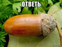 ответь 