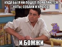 куда бы я ни пошёл, появляются коты, собаки и крысы и бомжи