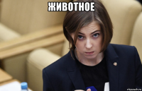животное 